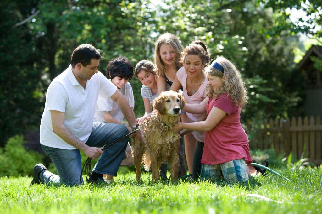 role of family in child development
